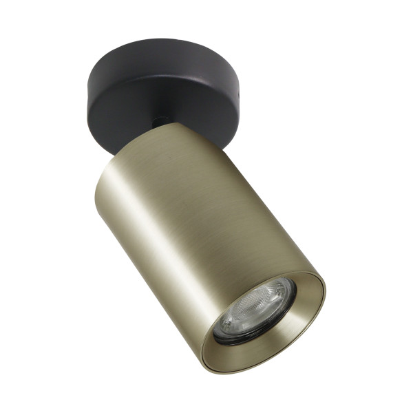 Lampa sufitowa TORE ZŁOTA/GOLD TLS006-GLD - Zuma Line