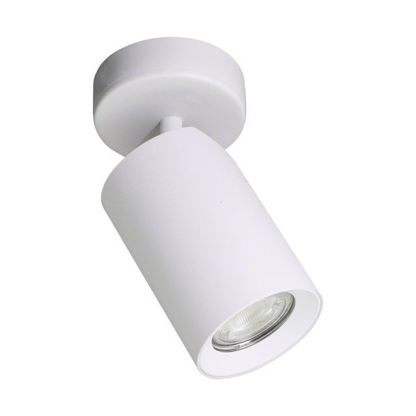 Lampa sufitowa TORE BIAŁA/WHITE TLS006-WH - Zuma Line