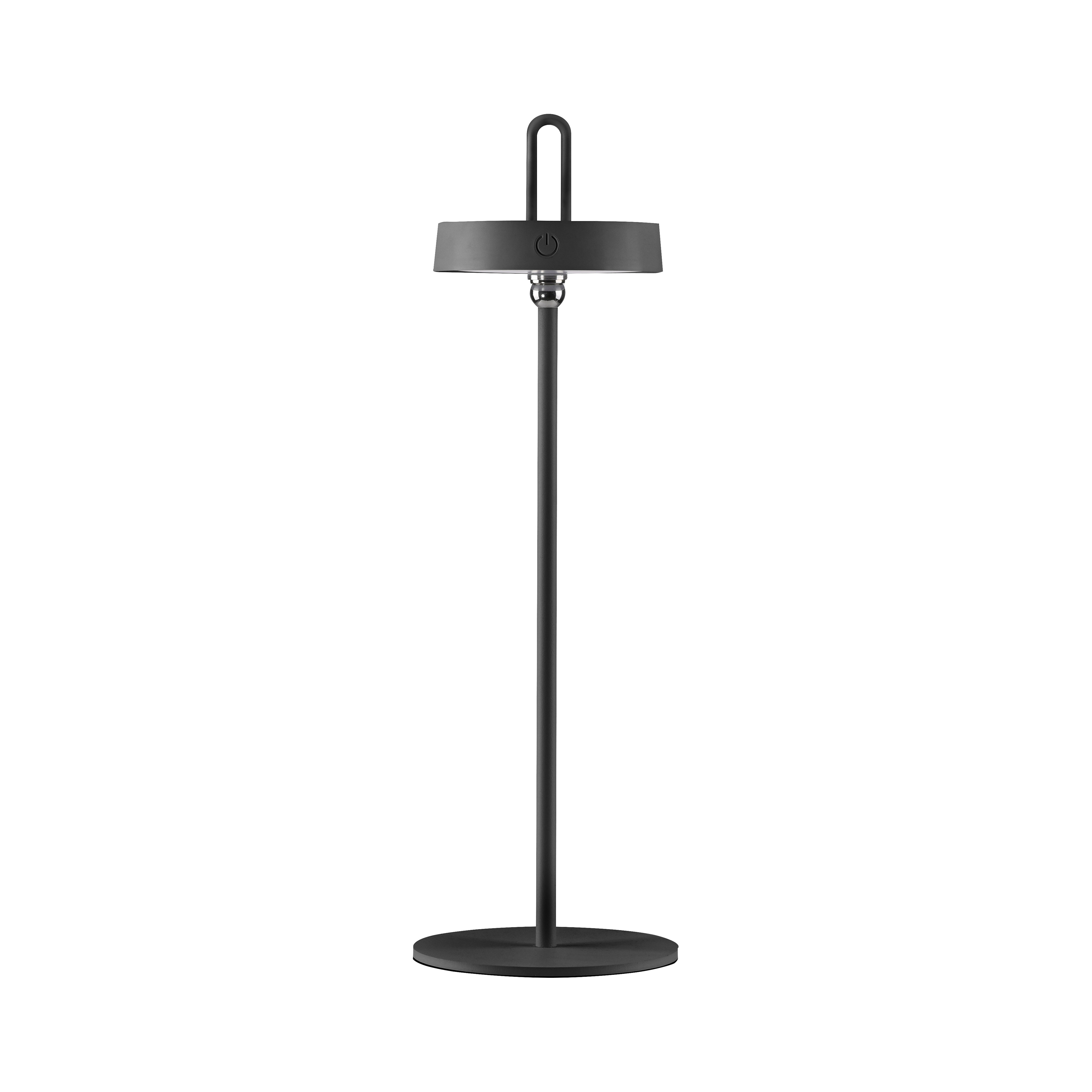 Lampa stołowa AMAG 19310-18 - Paul Neuhaus - obrazek 24
