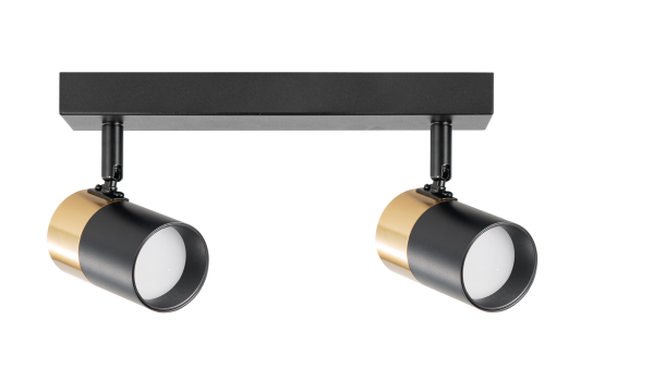 Lampa sufitowa / kinkiet FORI OB-2204BD-2-BK - Zuma Line