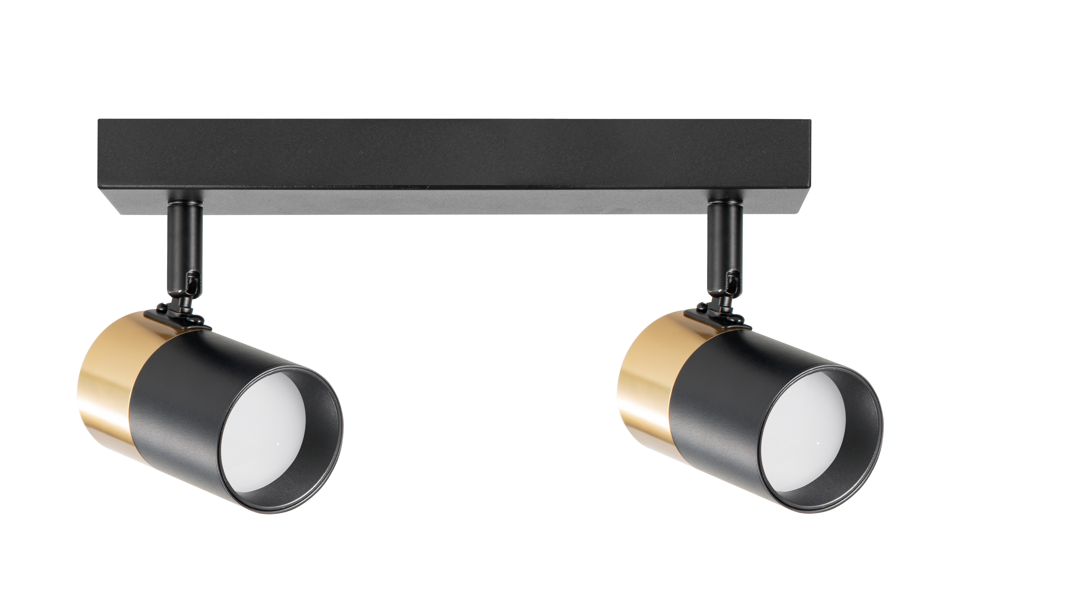 Lampa sufitowa / kinkiet FORI OB-2204BD-2-BK - Zuma Line