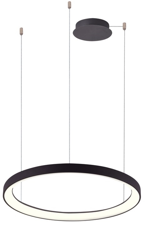 Lampa wisząca RING AGNES PENDANT 48 DIMM CCT SWITCH BK AZ5016 - AZzardo
