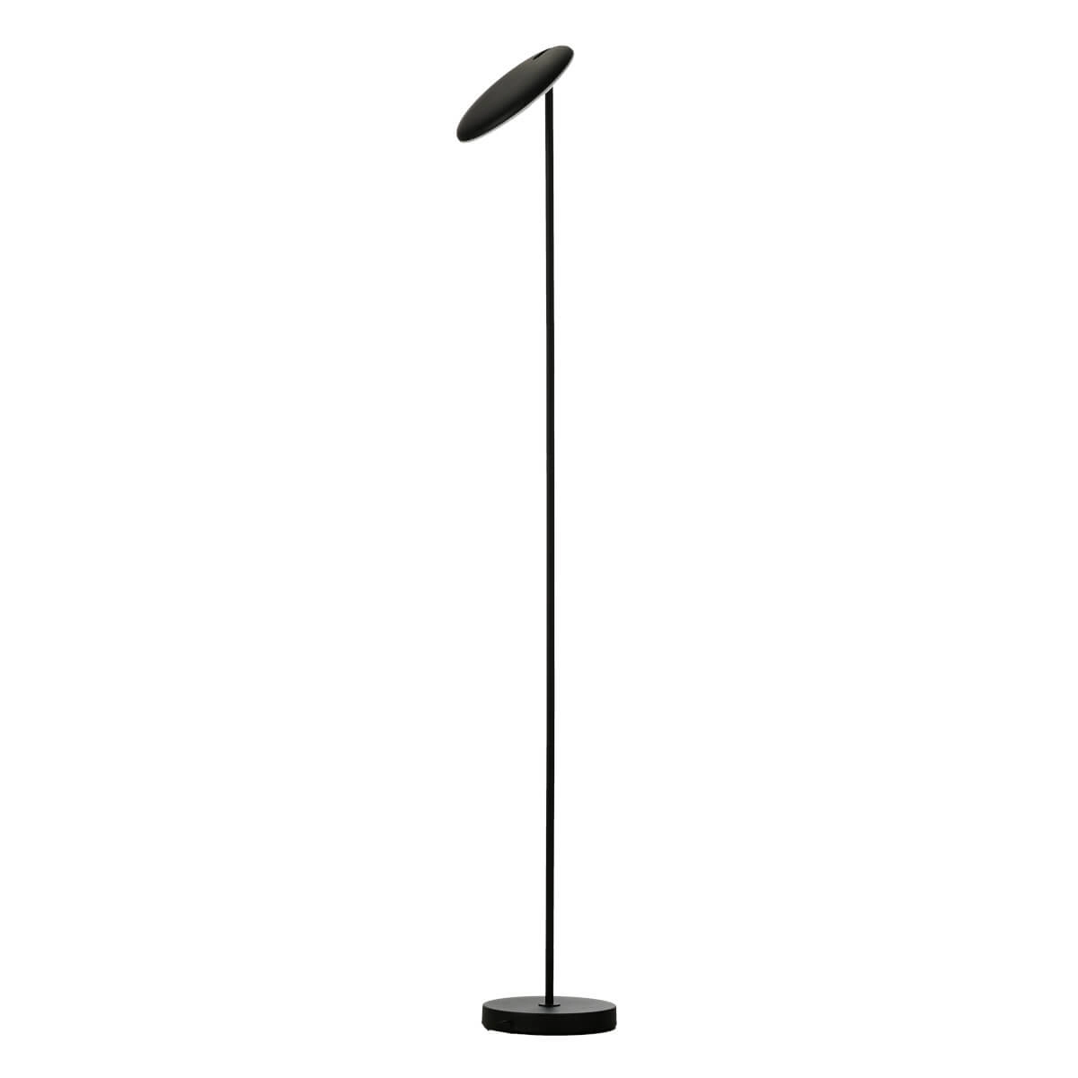 Lampa podłogowa z ściemniaczem CARPA DIMM czarna AZ5908 - AZzardo