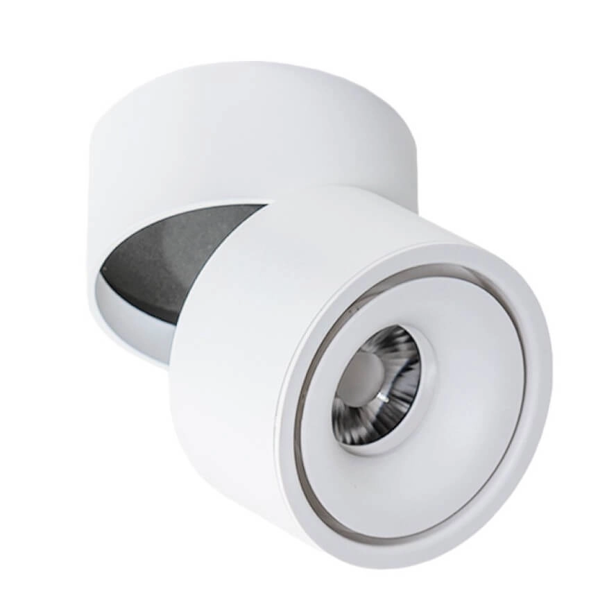 Lampa sufitowa COSTA 12W CCT SWITCH WH AZ6032 - AZzardo