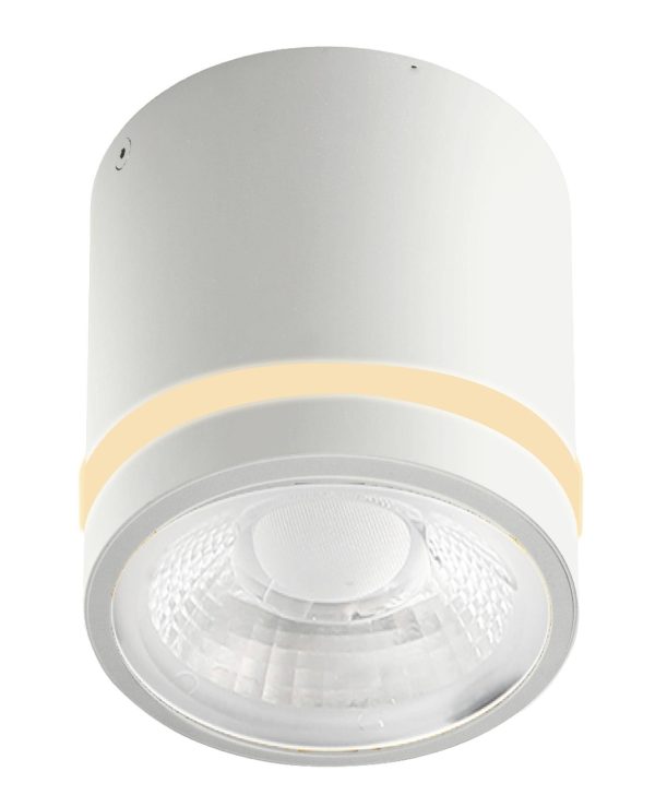 Lampa do wbudowania biała VICI IP44 12W CCT SWITCH WH AZ6040 - AZzardo