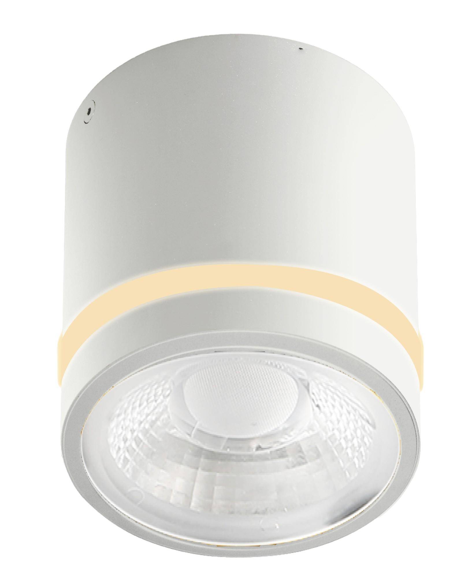 Lampa do wbudowania biała VICI IP44 12W CCT SWITCH WH AZ6040 - AZzardo