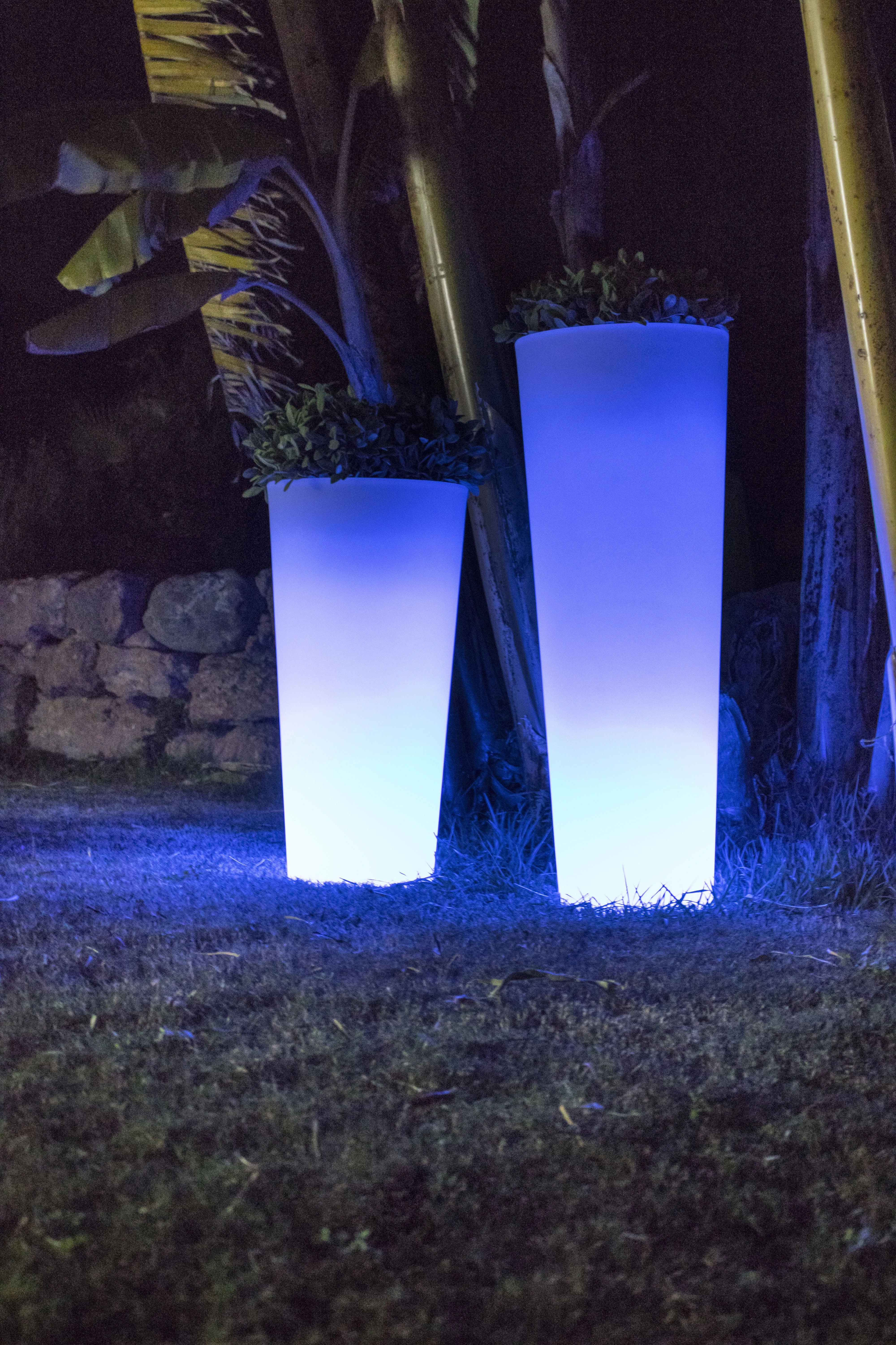 Lampa podłogowa FICUS 3343 - New Garden - obrazek 2