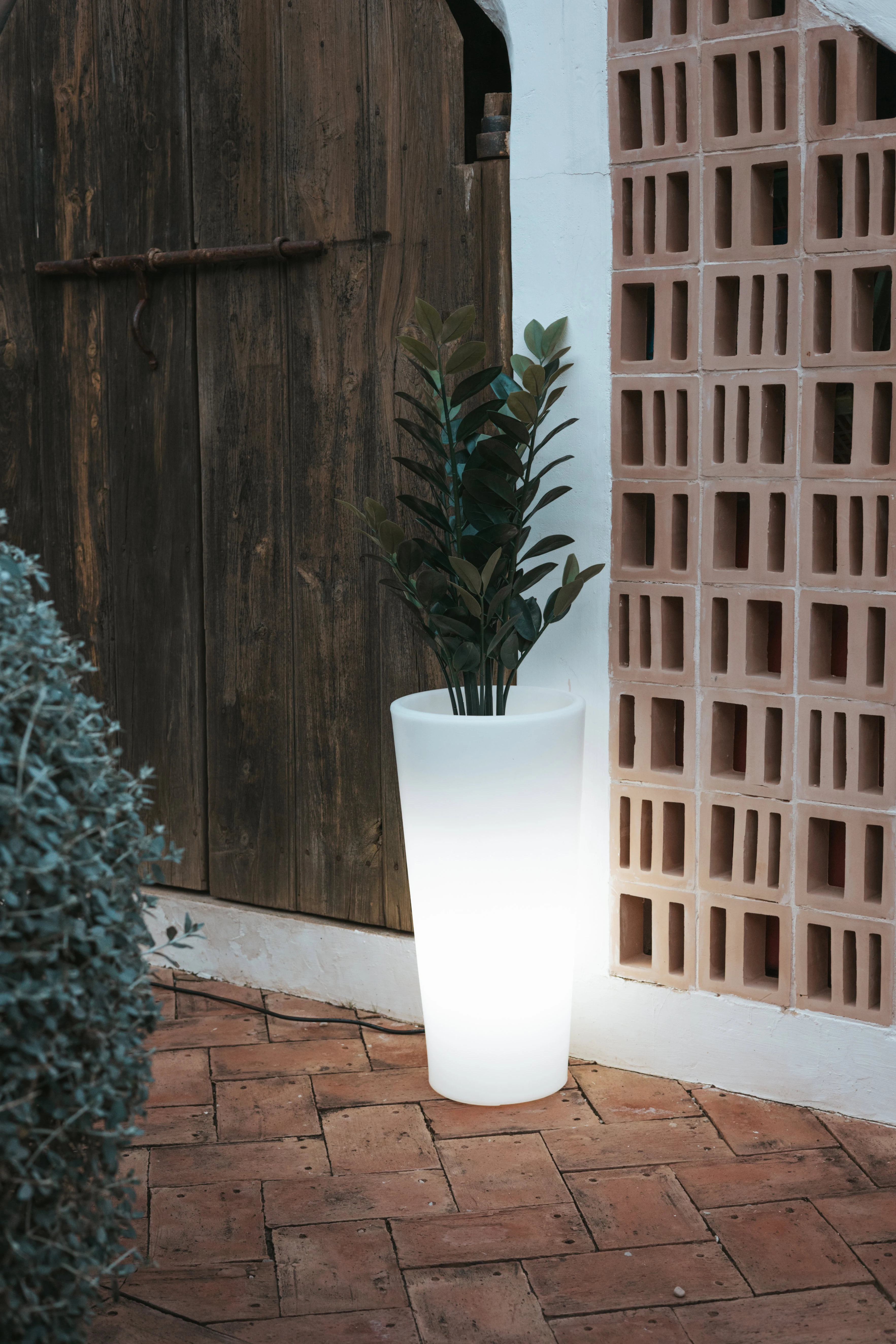 Lampa podłogowa FICUS 3337 - New Garden - obrazek 2