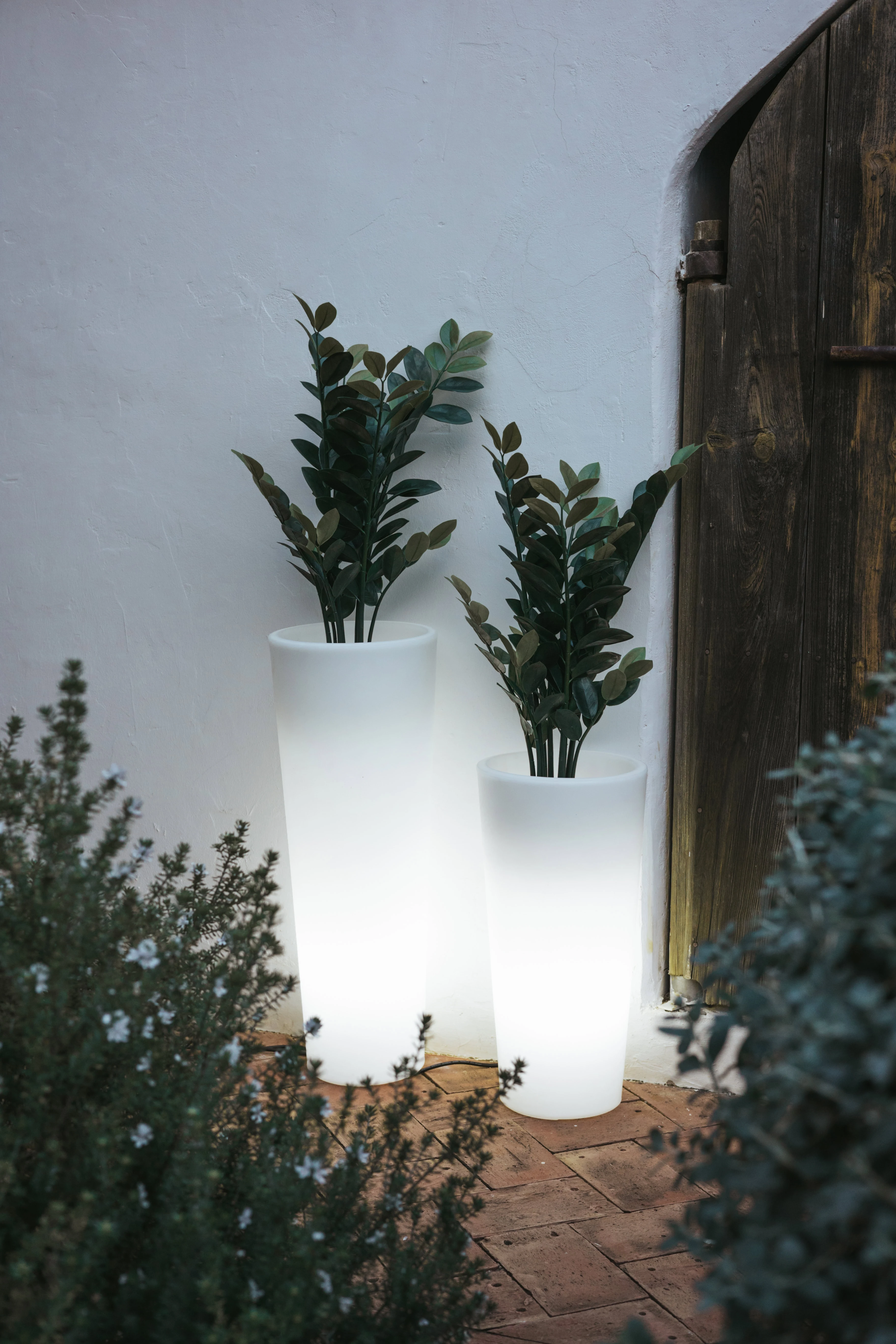 Lampa podłogowa FICUS 3337 - New Garden - obrazek 3