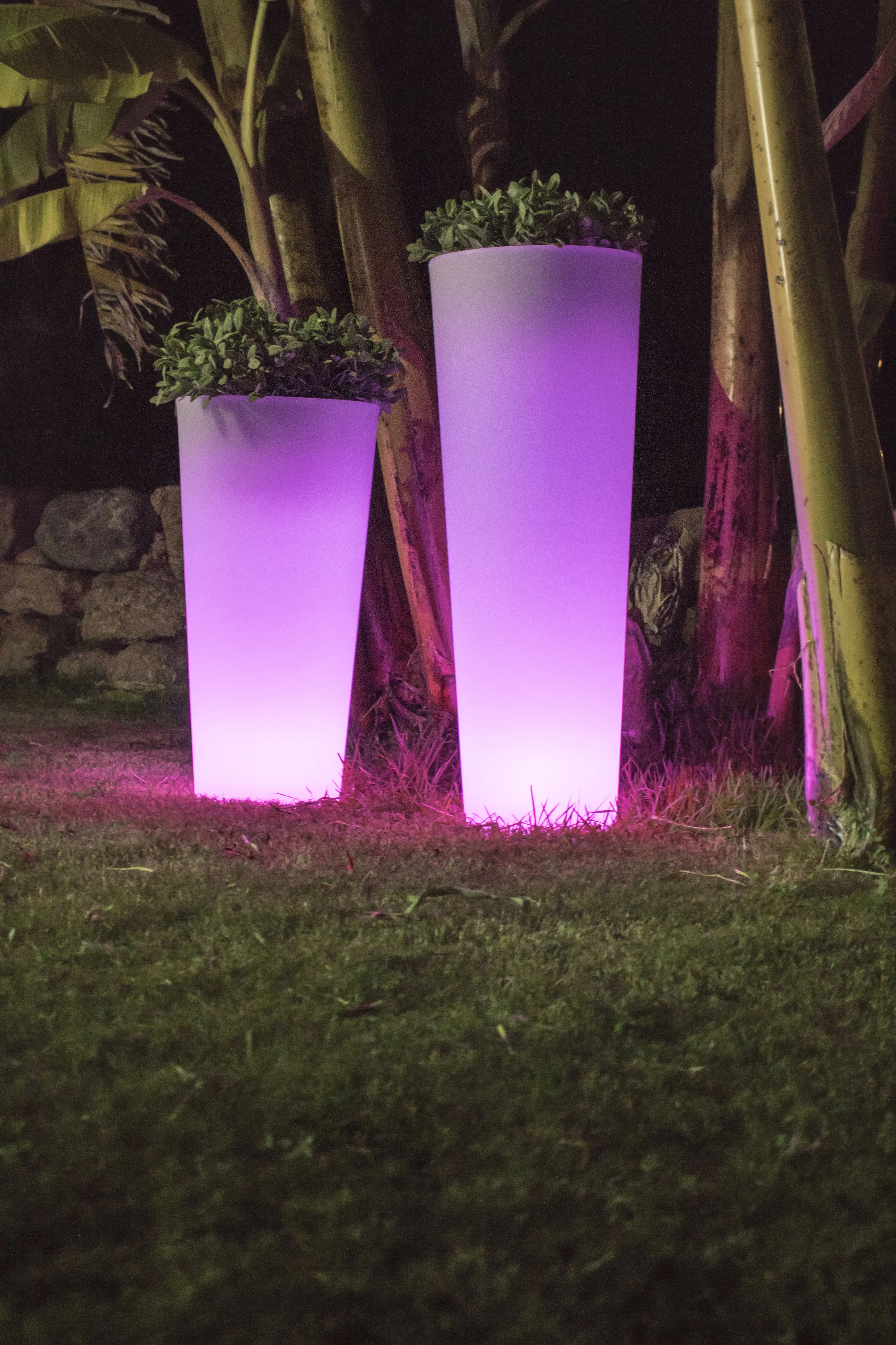 Lampa podłogowa FICUS 3341 - New Garden - obrazek 4