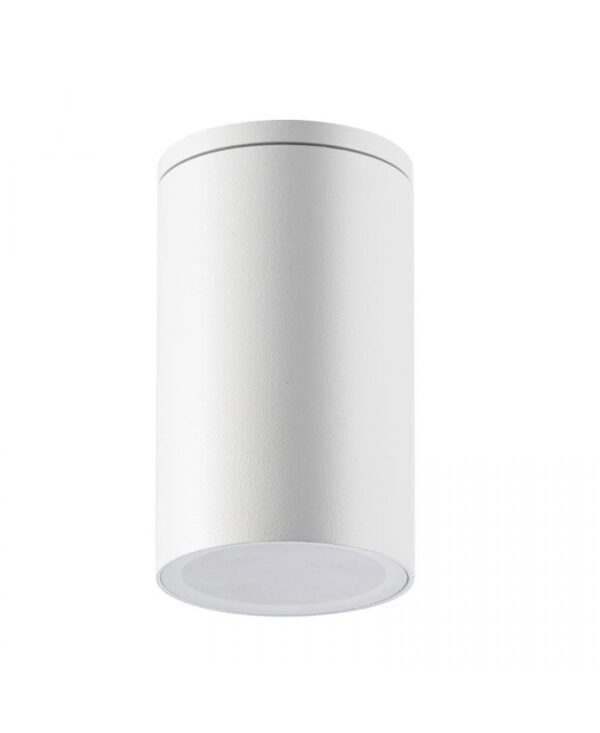 E220 OUTDOOR CEILING LIGHT 1XGU10 WHITE IP54 Zambelis Lights