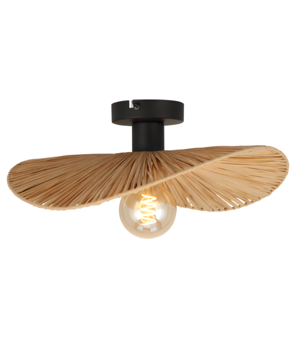 LAMPA SUFITOWA APP1827-1CP NATURE BLACK