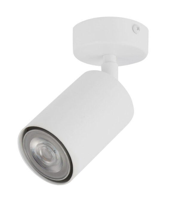 Spot sufitowy minimalistyczny ZOOM 1 biały /spot, 1 × GU10 – Sigma Lighting 33314