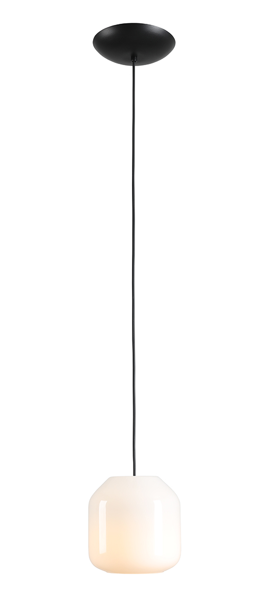 Lampa wisząca minimalistyczna Aldex FLASK S 8500G1_S biała / czarna 1×E14