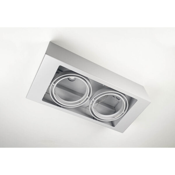 Lampa sufitowa Antigo UTO – szara, 2 × G53 – 1144/G53/SZ