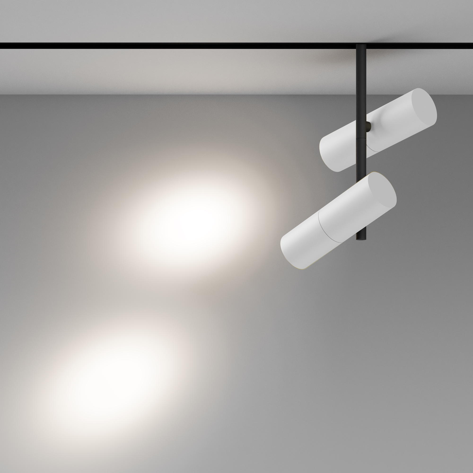 Reflektor do szyn magnetycznych EXILITY ELTI DUO TR005-4-2X12W-DS-BW, czarny, LED 24 W – Maytoni - obrazek 2