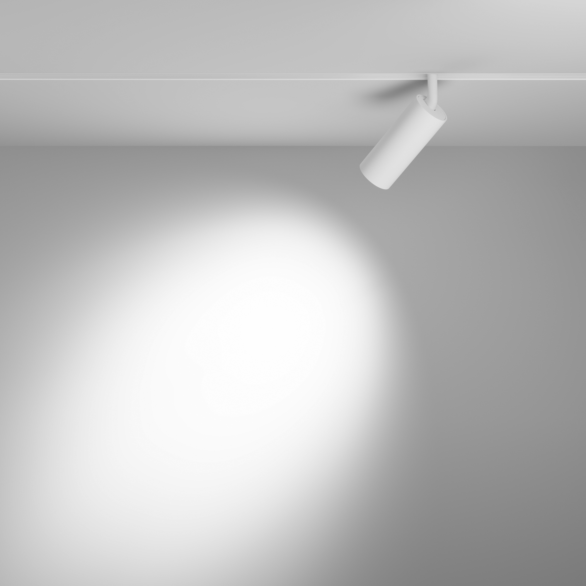 Reflektor do szyn magnetycznych EXILITY FOCUS LED TR032-4-12WTW-S-DD-W, biały, 12 W – Maytoni - obrazek 2