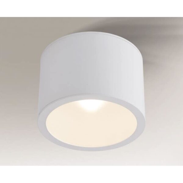 Lampa sufitowa Antigo MACHIDA IP – biała, 1 × GX53 – 7741