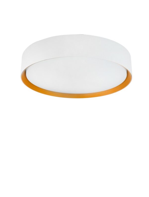 Lampa sufitowa / kinkiet minimalistyczna Luces Exclusivas EIBAR, biało-złota, LED 24 W, Ø 30,1 cm – LE62445