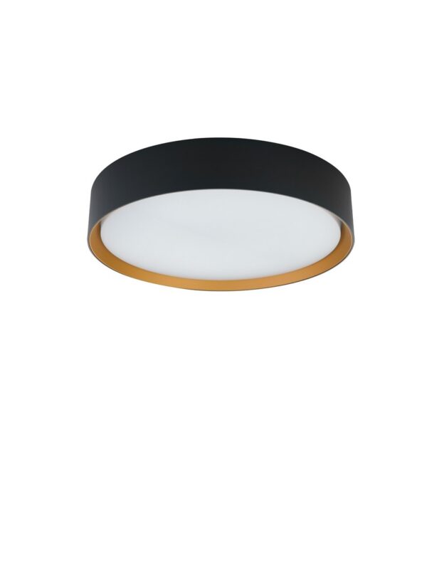 Lampa sufitowa / kinkiet industrialna Luces Exclusivas EIBAR, czarno-złota, LED 24 W, Ø 30,1 cm – LE62447