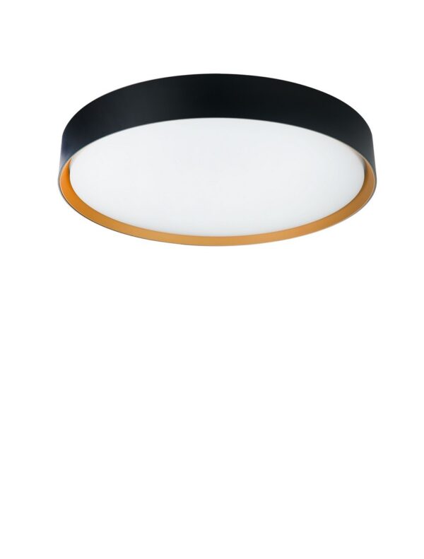 Lampa sufitowa / kinkiet industrialna Luces Exclusivas EIBAR, czarno-złota, LED 30 W, Ø 42,2 cm – LE62448