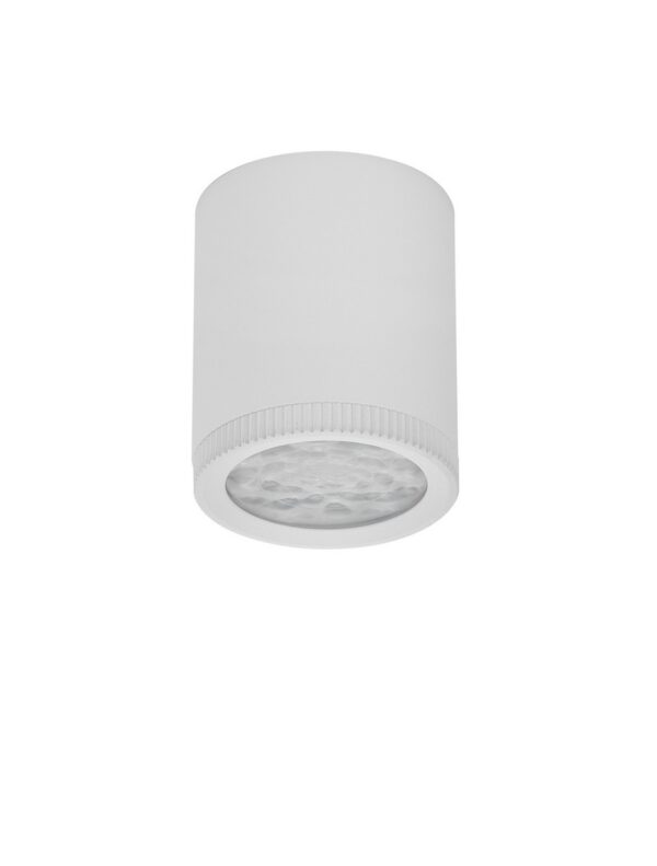 Reflektor sufitowy minimalistyczny Luces Exclusivas SARRIA, biały, LED 5 W 3000 K, Ø 4,2 cm – LE62570