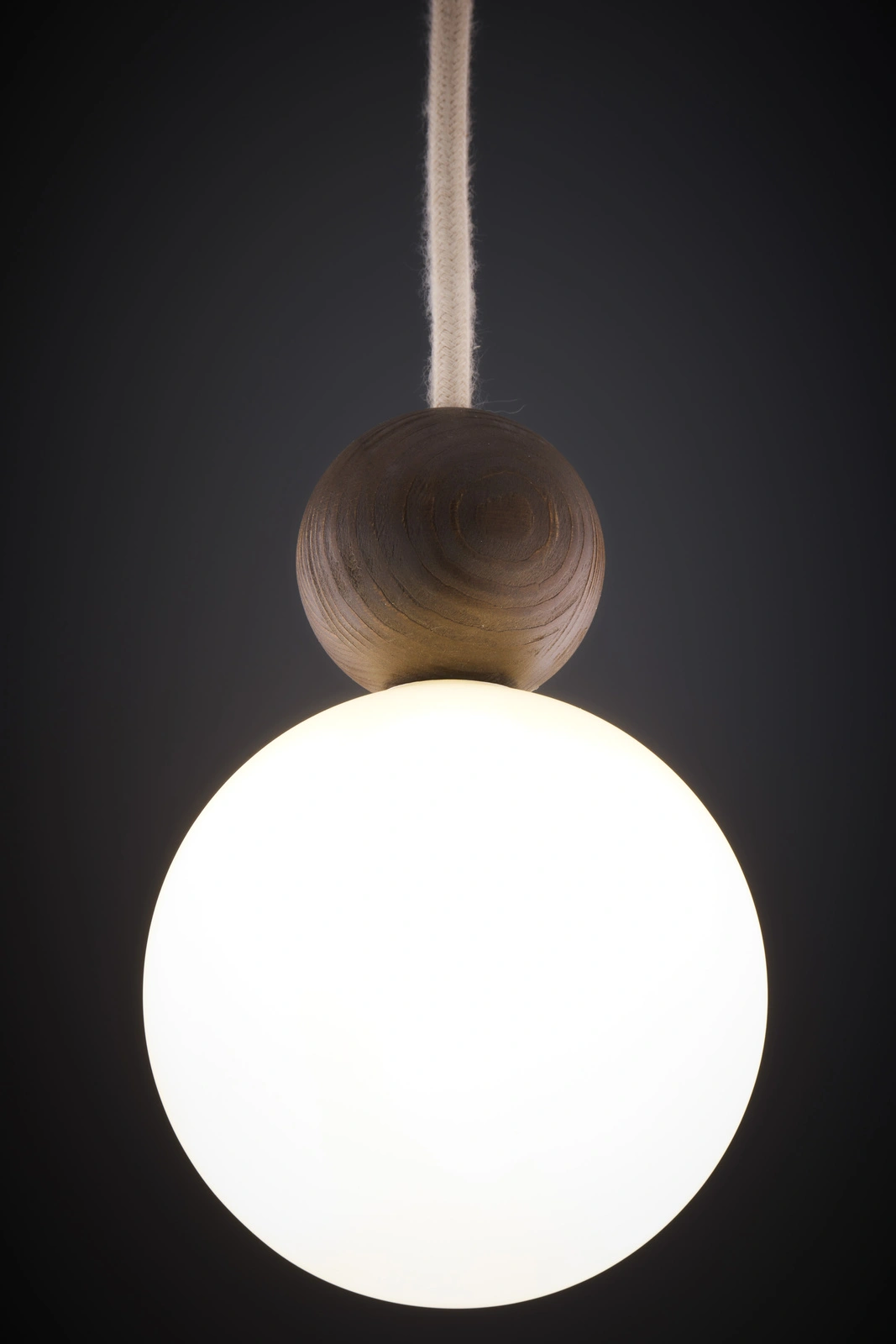 Lampa wisząca minimalistyczna RONA 1 drewno ciemny brąz, 1 × G9 – Sigma Lighting 41675 - obrazek 6