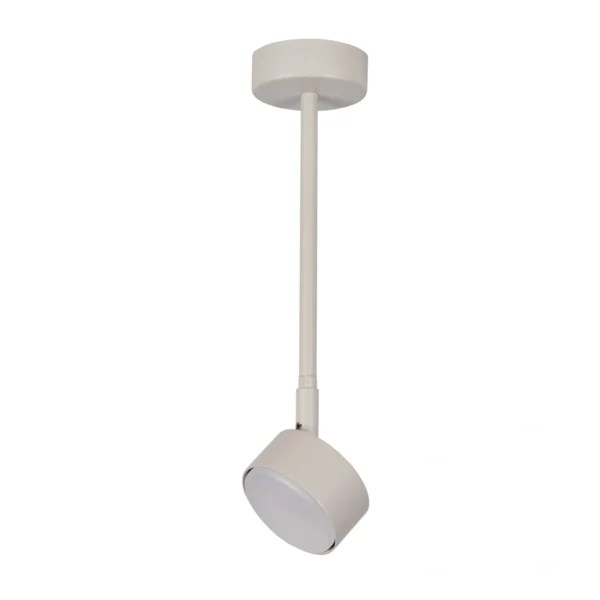 Plafon minimalistyczny NEMO 1 L szary beż, LED – Sigma Lighting 40888