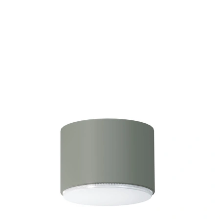Spot sufitowy minimalistyczny TUBO S szałwia, LED – Sigma Lighting 41525